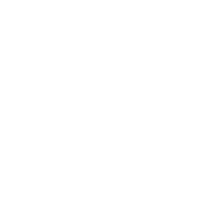 Antetokounmpo Academy logo