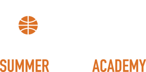 THI Summer Youth Academy THI logo
